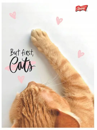 Zeszyt 60 kartek linia But first, CATS 3