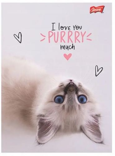 Zeszyt 60 kartek linia But first, CATS 4