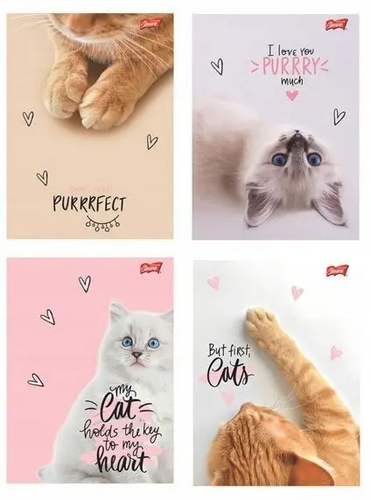 Zeszyt 60 kartek linia But first, CATS 2