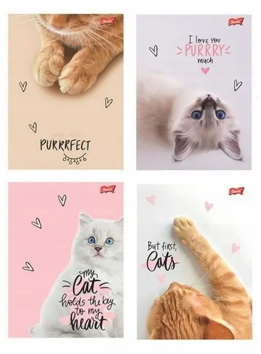 Zeszyt 60 kartek kratka Purrfect Moments - kotki 2