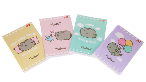 Zeszyt 32 kartki linia Pusheen 2