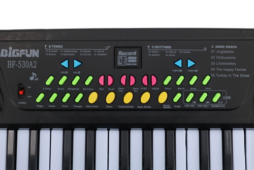Organki elektroniczne,  pianinko keyboard, mikrofon 4