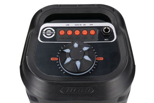 Bezprzewodowy głośnik BLUETOOTH duży, radio, światło 5