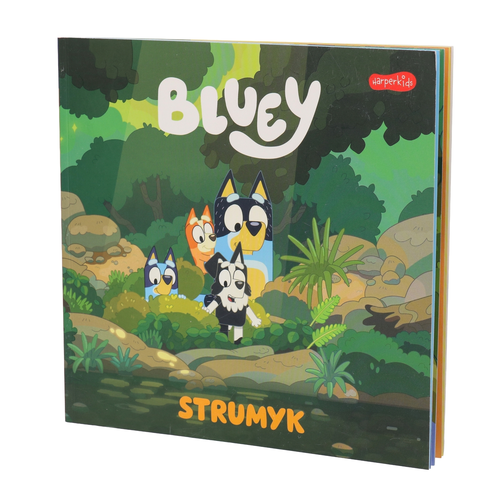 Książka BLUEY STRUMYK 4
