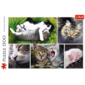 PUZZLE 1500 KOCIE sprawy  2