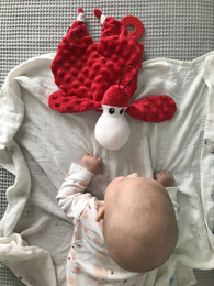 SZELEŚCIK PRZYTULANKA OWIECZKA SHEEPI  2