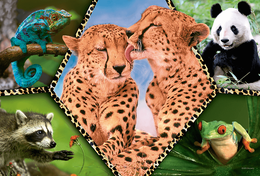 Puzzle 100  PIĘKNO NATURY 2
