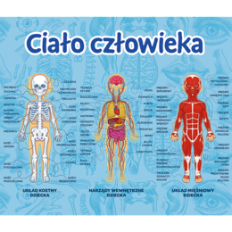 Gra edukacyjna CIAŁO CZŁOWIEKA 3