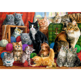 Puzzle 1000 KOCIE SPOTKANIE  2