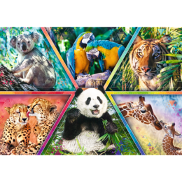 Puzzle 1000 KRÓLESTWO ZWIERZĄT  2