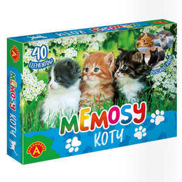 Gra MEMO KOTY memosy kotki 2