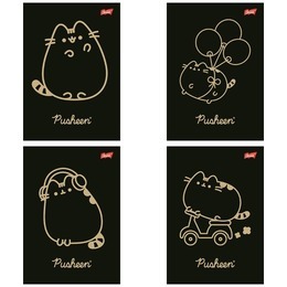 Zeszyt 60 kartek kratka PUSHEEN 2