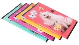 Zeszyt 32 kartki linia dwukolorowa MY LITTLE FRIEND 2