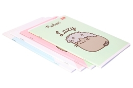 Zeszyt 32 kartki linia dwukolorowa PUSHEEN 2