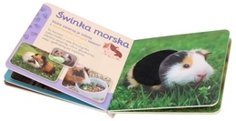 Książka PUPILE Przytul mnie 5