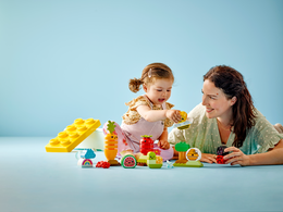 Klocki LEGO DUPLO Ogród uprawowy 6