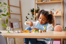 Klocki Lego Classic Kreatywne zwierzątka 9