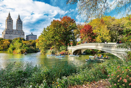 PUZZLE 1500 Prime Charming Central Park 2