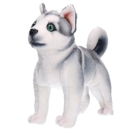 Maskotka PIES Husky Akita 4