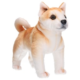 Maskotka PIES Husky Akita 3
