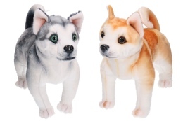 Maskotka PIES Husky Akita 2