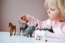 Figurki ZWIERZĘTA różne - ZOO 3
