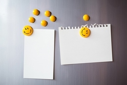 Magnesy Emotikon, SMILE 5