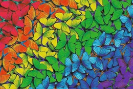 Puzzle 500 Drewniane Tęczowe Motyle 2