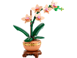 Klocki LEGO Icons Mała orchidea 2
