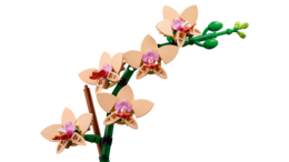Klocki LEGO Icons Mała orchidea 3