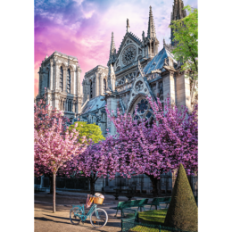 Puzzle 1000 Katedra w Notre-Dame Premium Plus Quality, Photo Odyssey 2