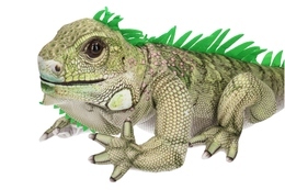 Maskotka LEGWAN 3