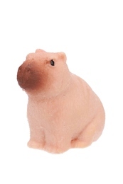 JAJKO wykluwa się KAPIBARA  8