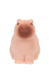 JAJKO wykluwa się KAPIBARA  10