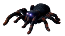 Pająk TARANTULA zdalnie sterowany na radio RC 6