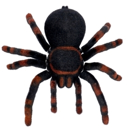 Pająk TARANTULA zdalnie sterowany na radio RC 5