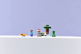 Klocki LEGO MINECRAFT Przygoda Steve’a w tajdze 3