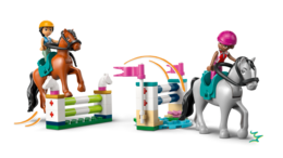 Klocki LEGO FRIENDS Stadnina i szkółka jeździecka 6