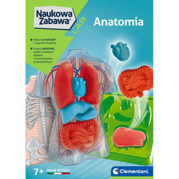 Anatomia Naukowa Zabawa 4