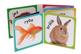 Książka NASI ULUBIEŃCY Świat maluszka 3