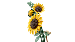 Klocki LEGO BOTANICALS Bukiet słoneczników 3