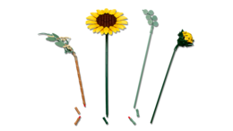 Klocki LEGO BOTANICALS Bukiet słoneczników 5