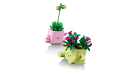 Klocki LEGO BOTANICALS Bujające się roślinki 4