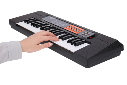 Elektroniczne organki, pianinko Canto 6