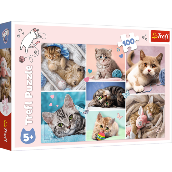 Puzzle 100 W KOCIM ŚWIECIE KOTKI 1