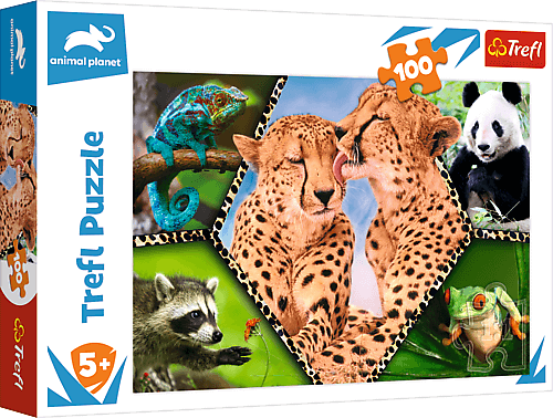Puzzle 100  PIĘKNO NATURY 1