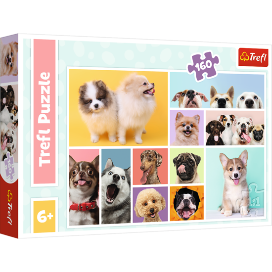 PUZZLE 160 Psia przyjaźń PIESKI 1