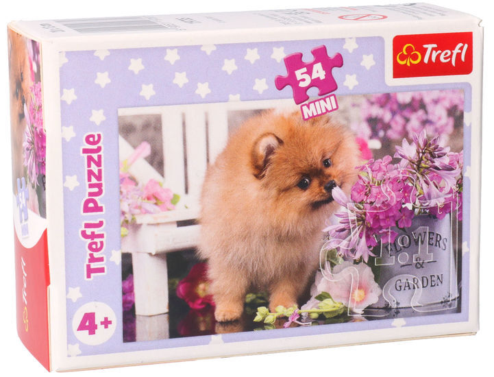 Puzzle 54 mini PIES pomeranian 1