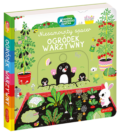 Książka OGRÓDEK WARZYWANY - NIESAMOWITY SPACER Akademia mądrego dziecka. 1