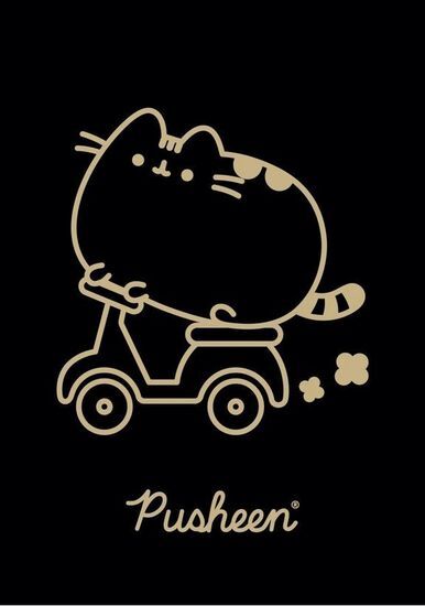 Zeszyt 60 kartek kratka PUSHEEN 1